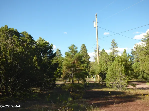 6 County Road 2158, Nutrioso, AZ 85932