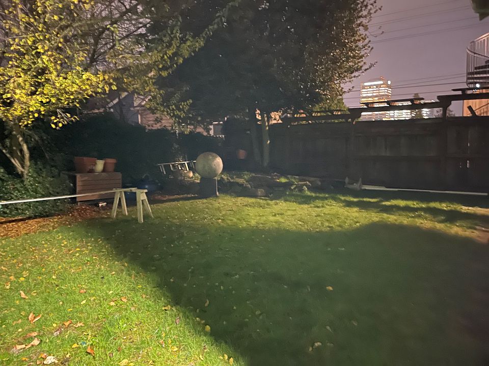 Evening in the Back Yard