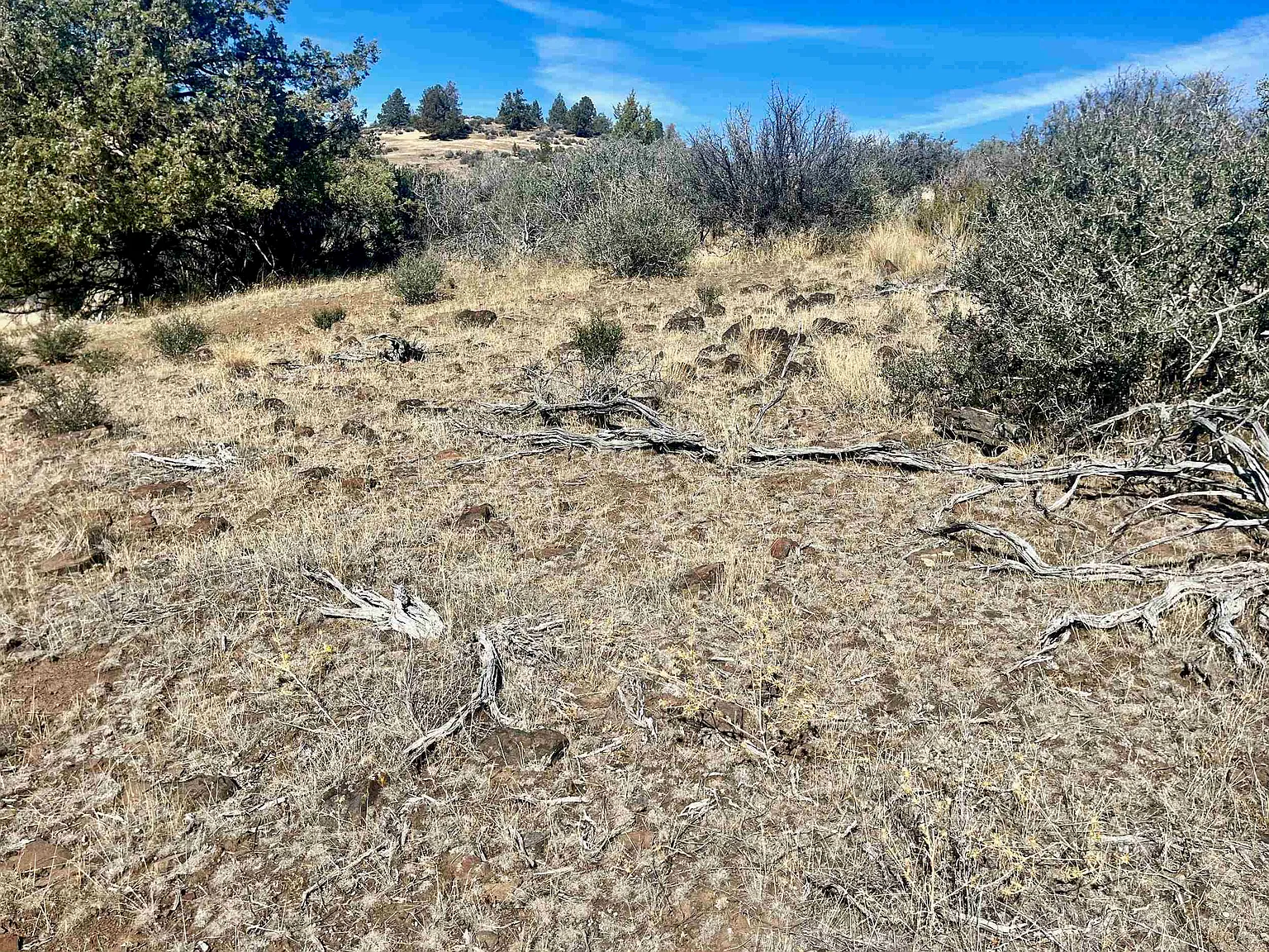 10238 Omega Rd photo 1