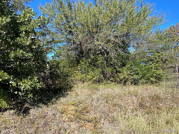 3rd image of 1923 Haven Oak Dr