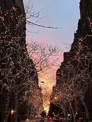 Sold by Brown Harris Stevens | media 19