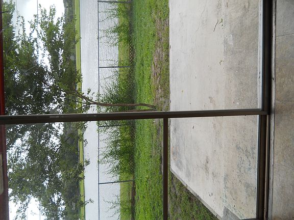 View from dining room