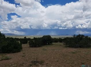 Camino De Silvestre, Grants, NM 87020