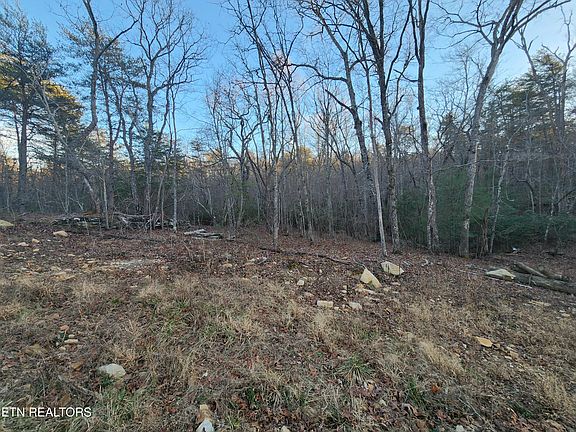 3rd image of 448 Saint George Dr