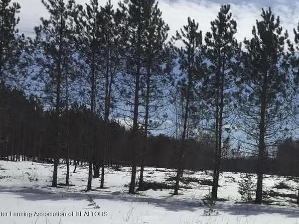 3755 W Elder Rd, Mancelona, MI 49659