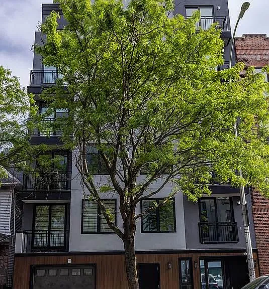 2316 Clarendon Rd #3C — Photo 8