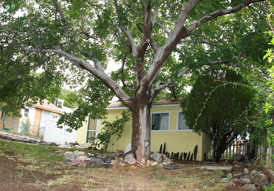 1st image of 507 Avenue L