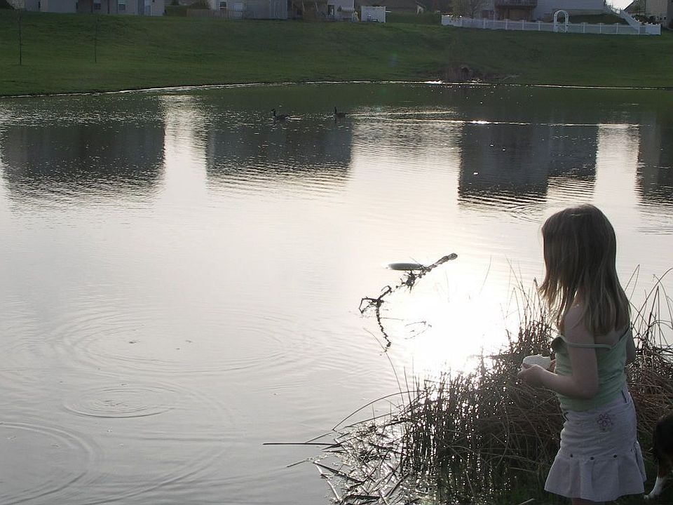 Pond behind house