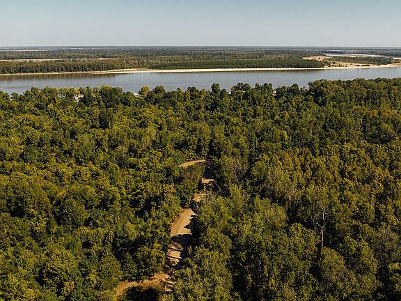 Black Bayou Potter Share Pics 5