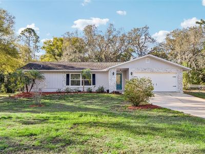 804 Robin Ave, Palm Harbor, FL, 34683