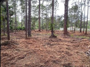 44336 Rose Bud Dr, Deland, FL 32720