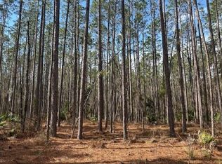 0 S Us Highway 129, Bell, FL 32619