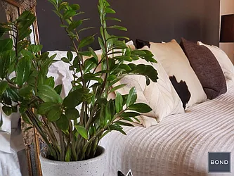 Rented by Bond New York