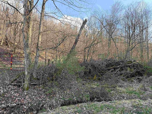 2nd image of Wash Run Rd