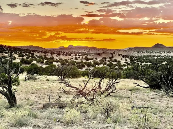 62 Abbe Springs Rnch, Magdalena, NM 87825