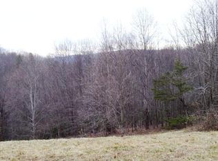 3943 Squirrel Spur Rd, Meadows of Dan, VA 24120