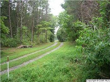 5th image of 3479 James Madison Hwy