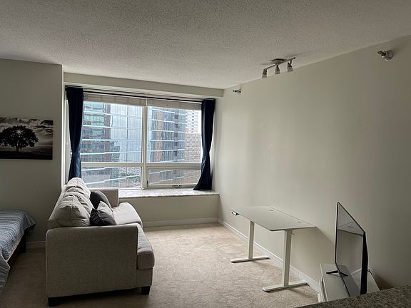 4th image of 512 N McClurg Ct APT 3002