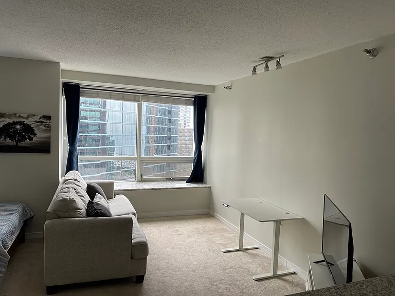 512 N McClurg Ct #3002 — Photo 23
