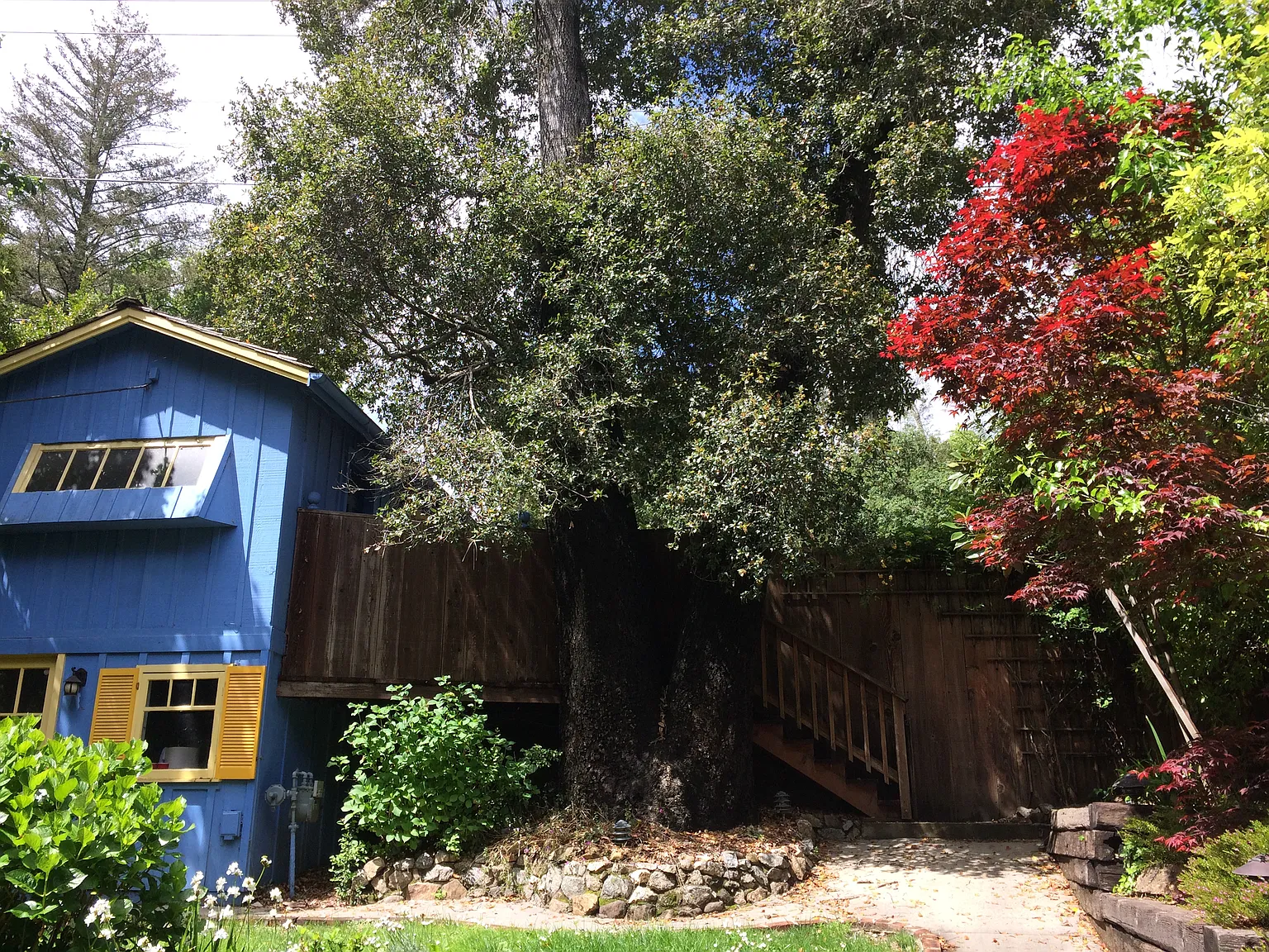 2 bed, 1100 sqft, $3,450 — Photo 2