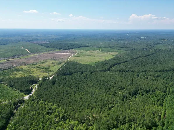 Nhn Gobbler Head Rd, Poplarville, MS 39470