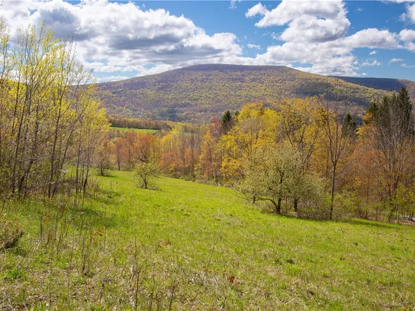(undisclosed Address), Denver, NY 12421