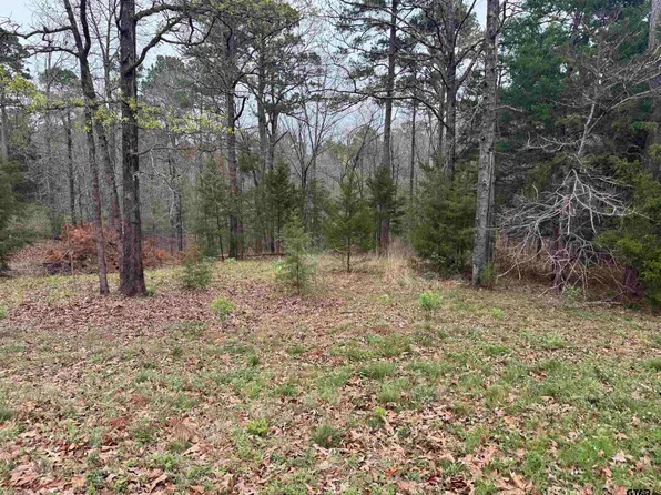 Lots 9 11 Lake Gladewater Rd, Gladewater, TX 75647