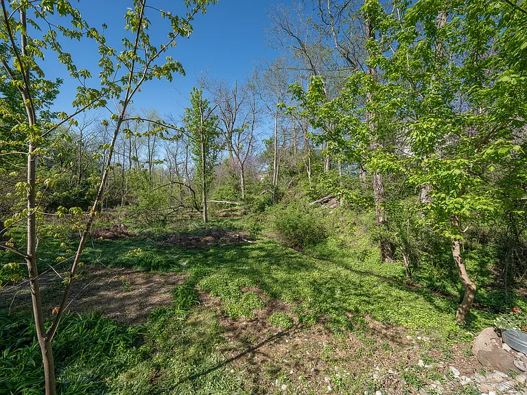 903 Maplewood Dr — Photo 42