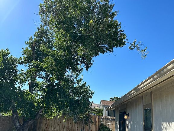 5th image of 2040 Bonneville Ave