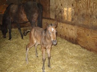 7 Wisner Rd, Rochester, NY 14622