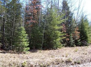 1295 Wahbee Ave, Indian River, MI 49749