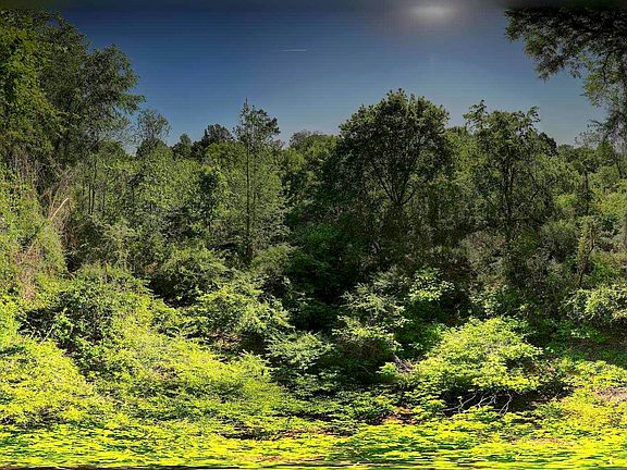 4th image of Off Of Joe Brackett Rd #X