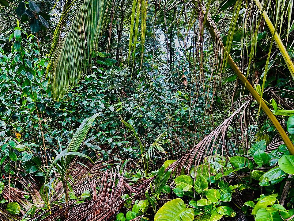 2nd image of 15-740 Kahakai Blvd Lot 9