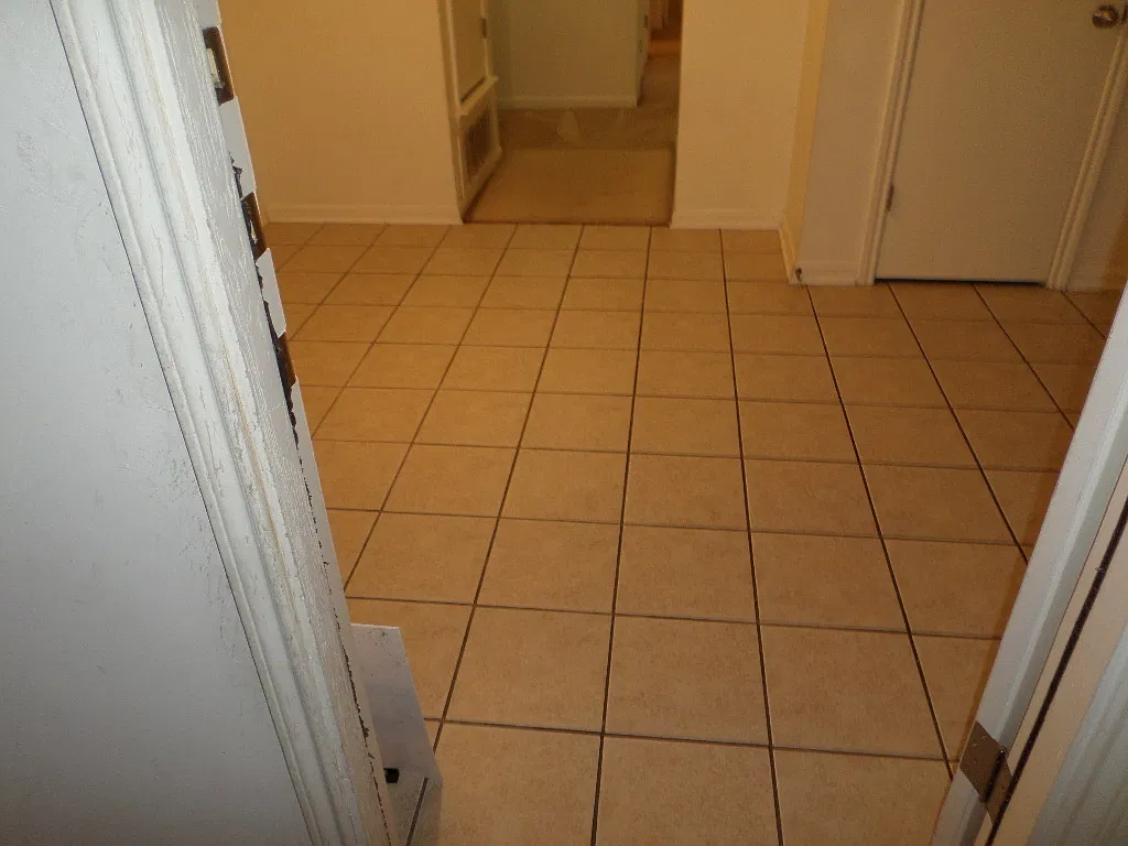 1310 Chips — Photo 3