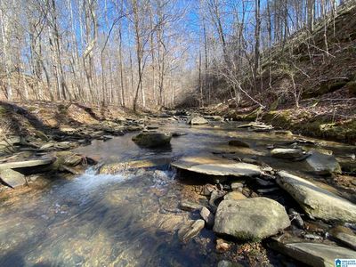 0 Reed Rd #0, Cordova, AL, 35550