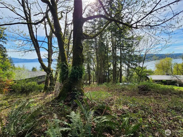 0 E Lake Sammamish Parkway NE, Sammamish, WA 98074