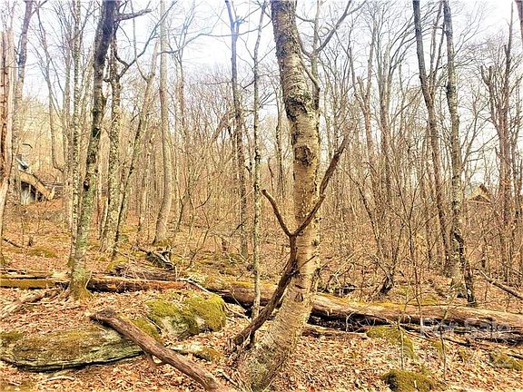 4th image of 0 Shelter Rock Cir #167