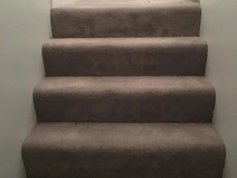 407 Enterprise Dr — Photo 3