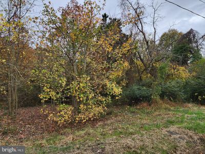 Langford Rd, Chestertown, MD, 21620