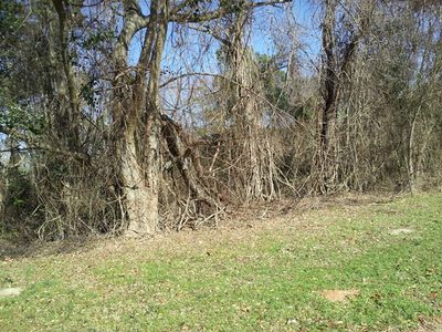7125 Old Winfield Rd, Appling, GA, 30802