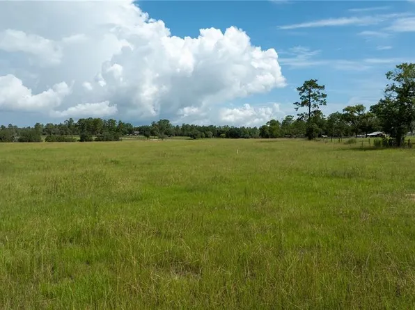 0 SE 72nd Pl #75, Morriston, FL 32668