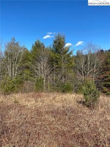 TBD Holly Ridge Road, West Jefferson, NC, 28694