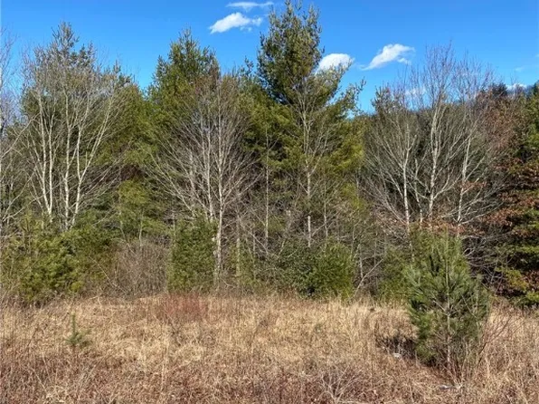 TBD Holly Ridge Road, West Jefferson, NC 28694