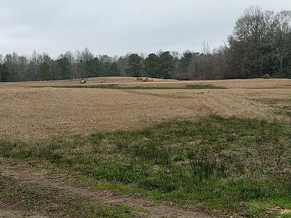 2nd image of 71 Thomas Ed Rustin Rd