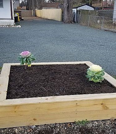 Plant Bed
