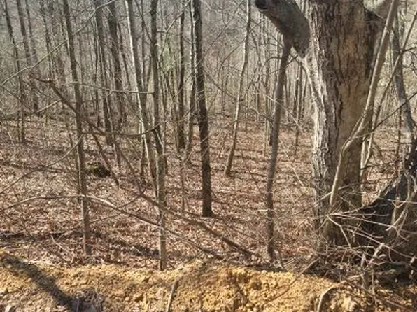 0 Reed Rd, Summertown, TN 38483