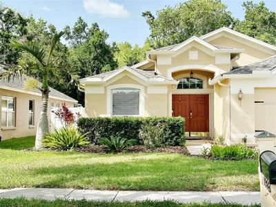 19743 Ellendale Dr, Land O Lakes, FL, 34638