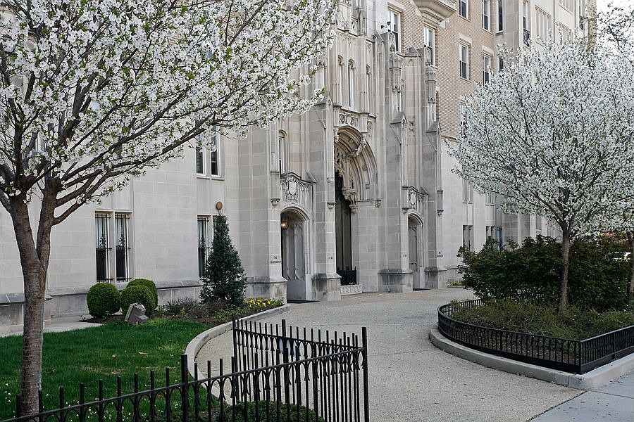 Spring in Bloom!