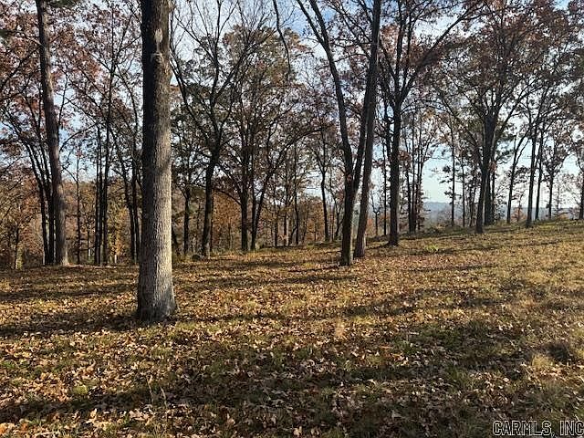 2nd image of LOT 4c #4