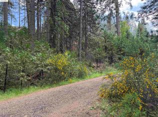 0 Cedar Pines Ave, Twain Harte, CA 95383